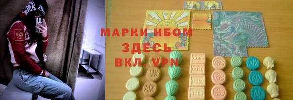 прущие грибы Баксан