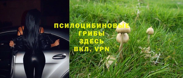 амф Сафоново