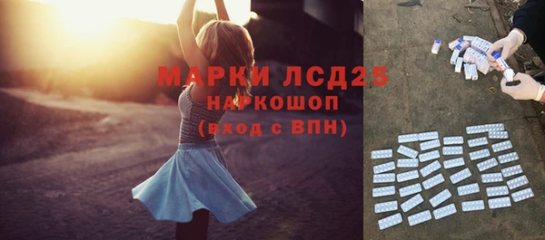 ПСИЛОЦИБИНОВЫЕ ГРИБЫ Армянск