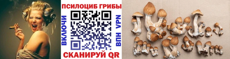 Галлюциногенные грибы мицелий  маркетплейс какой сайт  Тайшет 